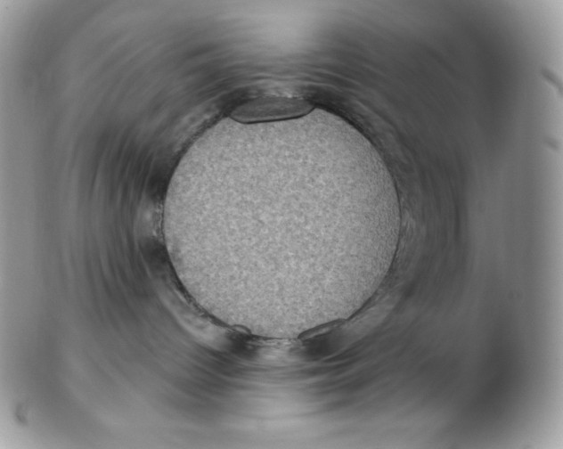 X0000102410096200808221921