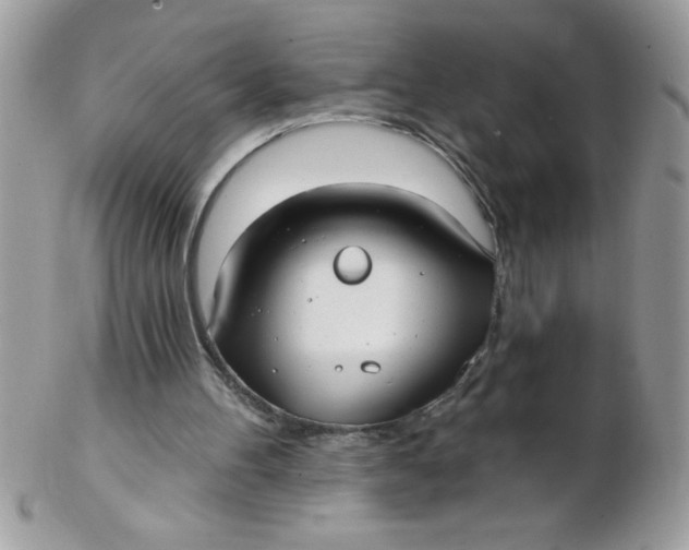 X0000102410100200808221920