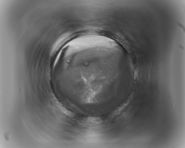 X0000102410101200808221920