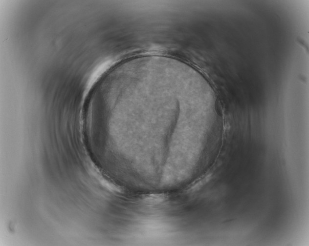 X0000102410102200808221920