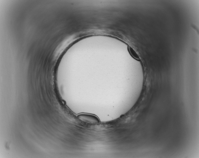 X0000102410103200808221920