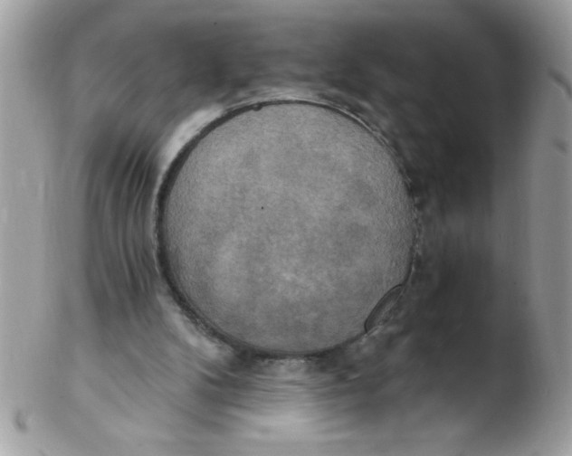 X0000102410104200808221920