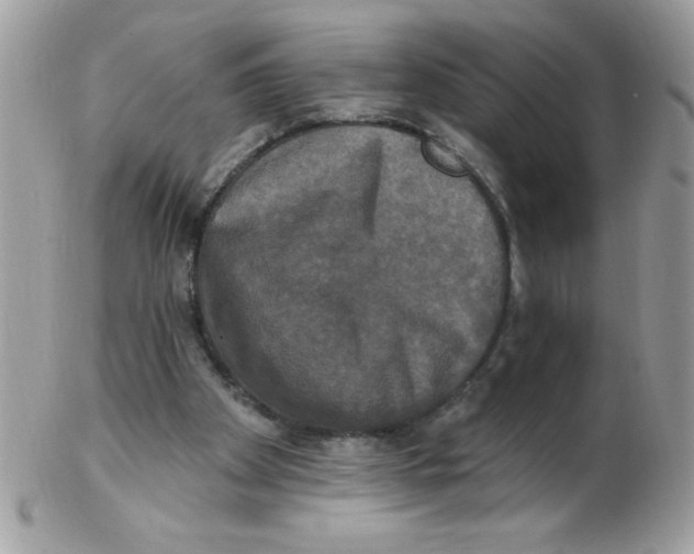 X0000102410105200808221920