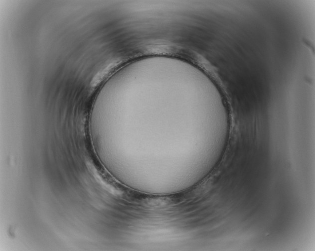 X0000102410106200808221920