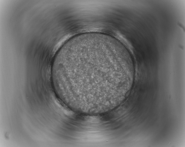 X0000102410107200808221920