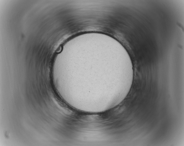 X0000102410108200808221920