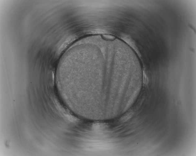 X0000102410109200808221920