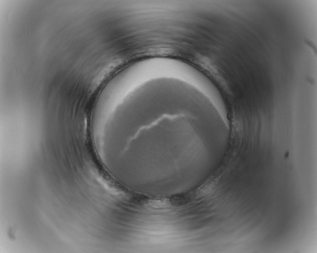 X0000102410110200808221920