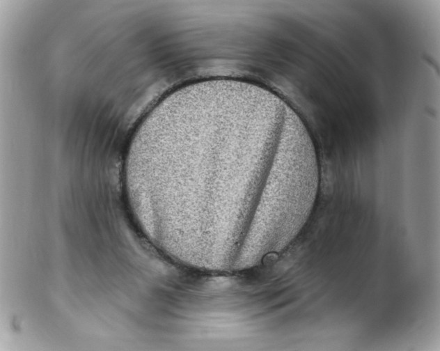 X0000102410111200808221920