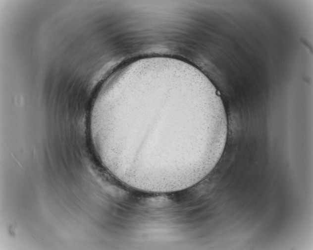 X0000102410112200808221920