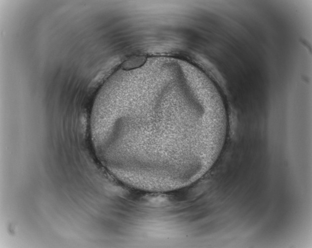 X0000102410113200808221920