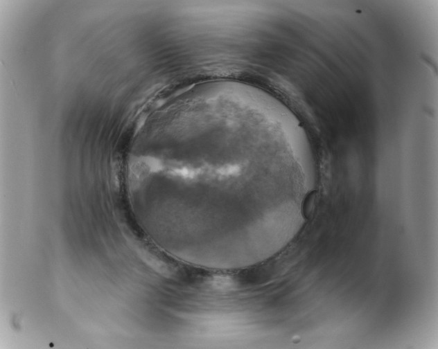 X0000102410114200808221920