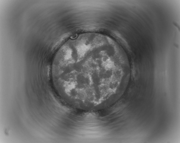 X0000102410115200808221920