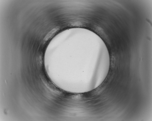 X0000102410116200808221920