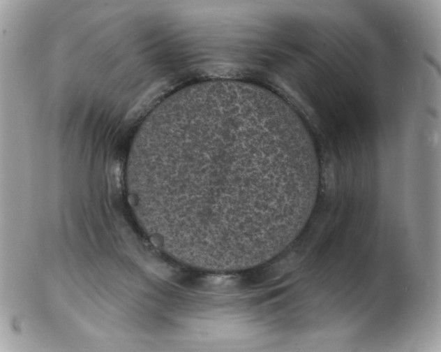 X0000102410117200808221920