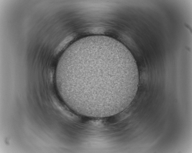 X0000102410120200808221920