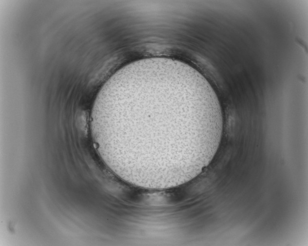 X0000102410121200808221920