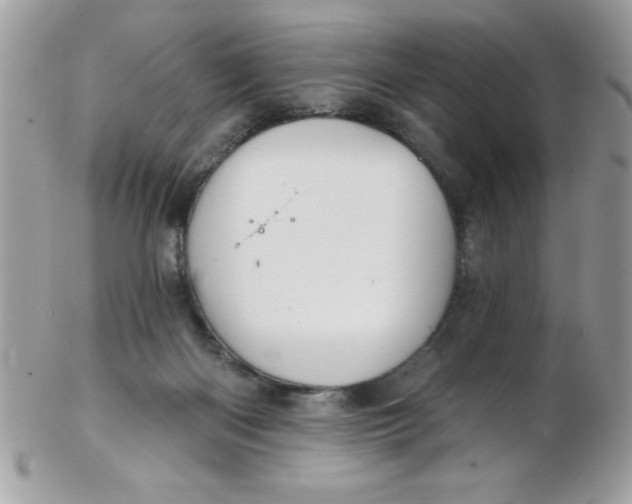 X0000102410122200808221920