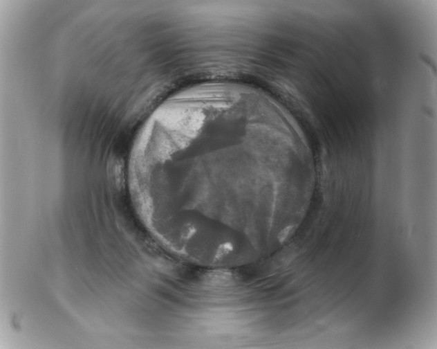 X0000102410123200808221920