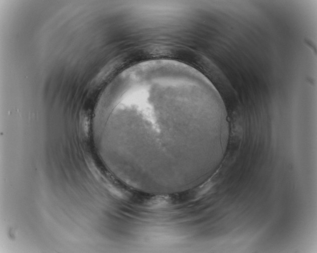 X0000102410124200808221920