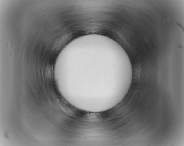 X0000102410126200808221920