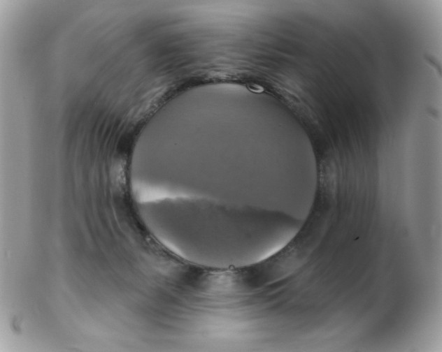 X0000102410127200808221920