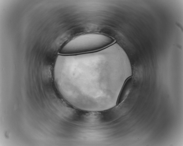 X0000102410128200808221920