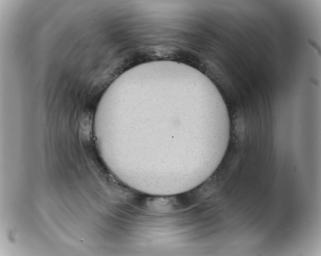 X0000102410129200808221920