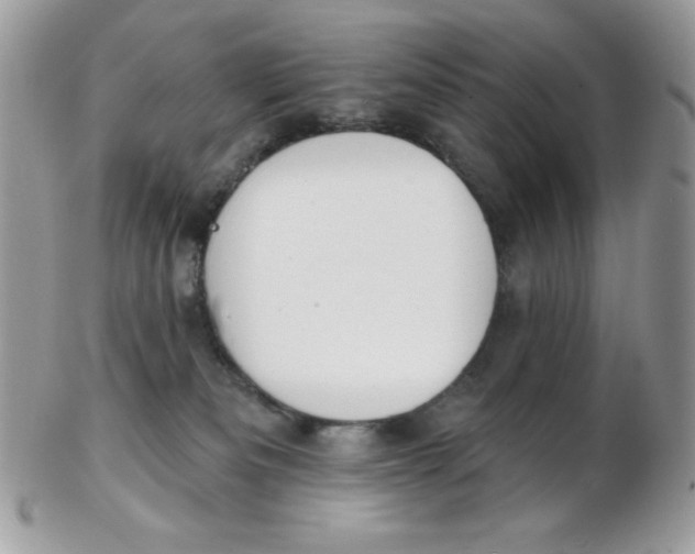 X0000102410133200808221920