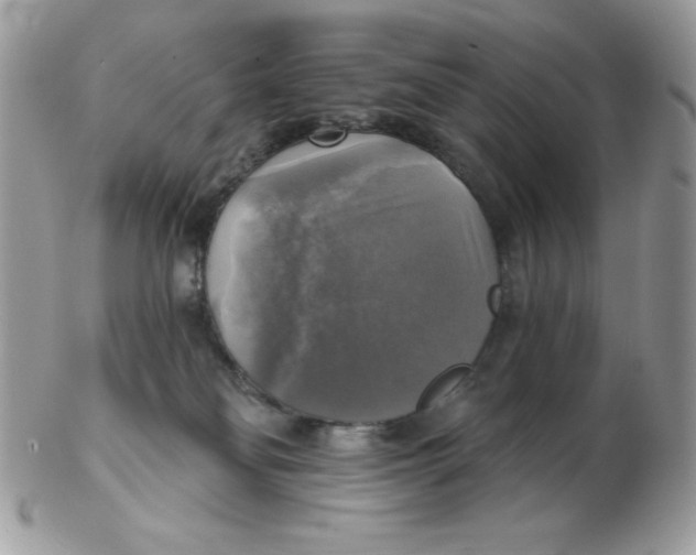 X0000102410134200808221920