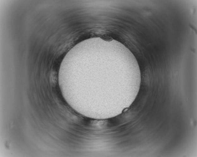 X0000102410135200808221920