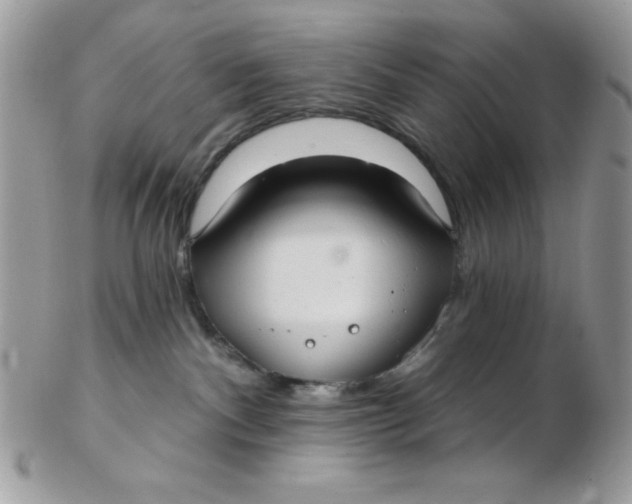 X0000102410140200808221920