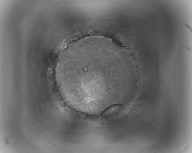 X0000102410144200808221920