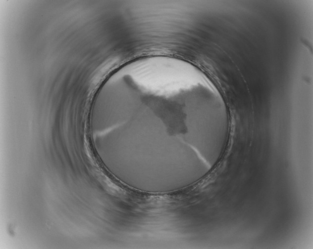 X0000102410145200808221919