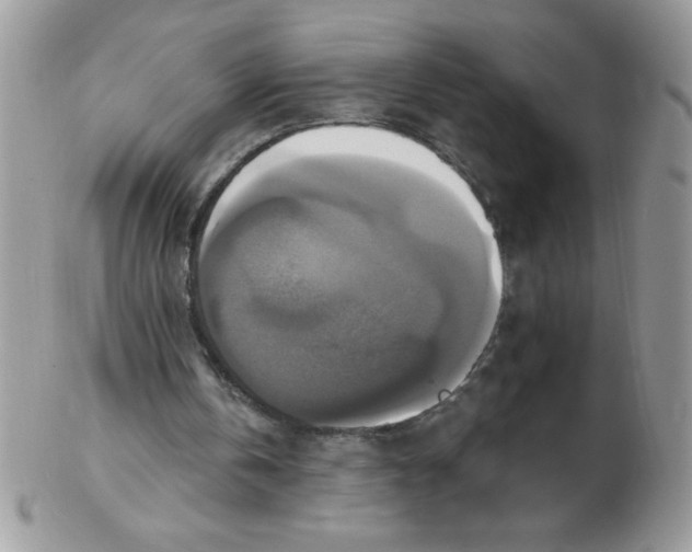 X0000102410146200808221919