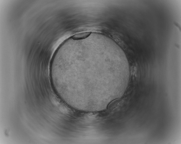 X0000102410148200808221919