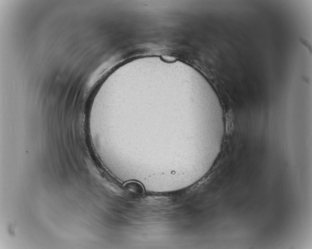 X0000102410150200808221919