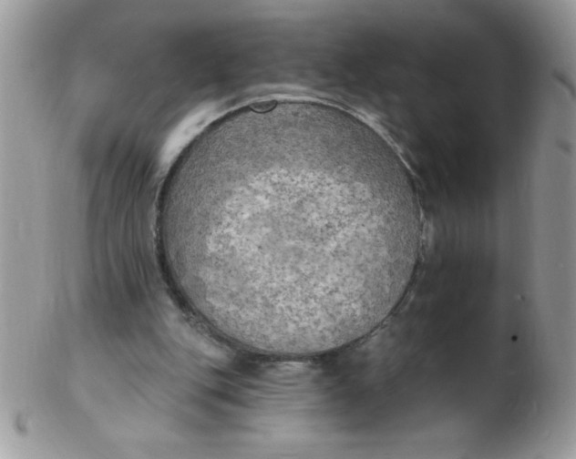 X0000102410151200808221919