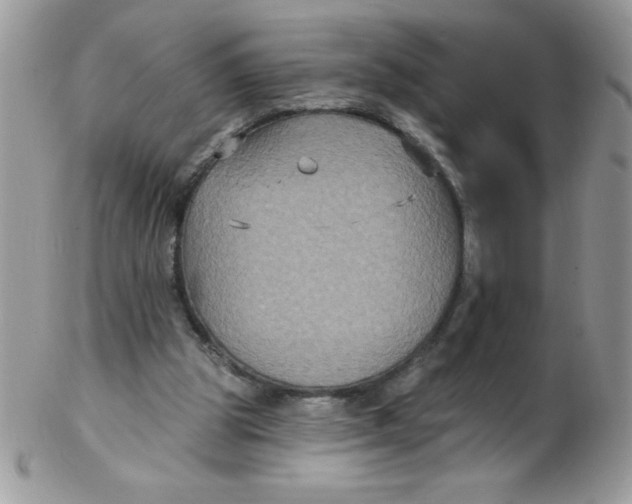 X0000102410153200808221919