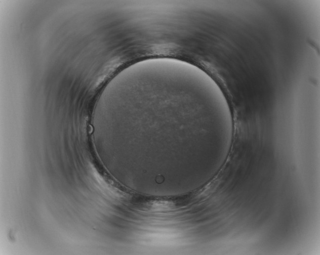 X0000102410154200808221919