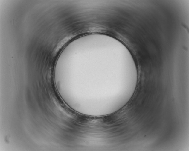 X0000102410155200808221919