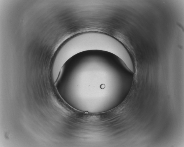 X0000102410156200808221919