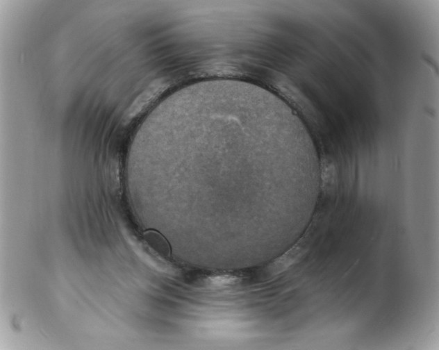 X0000102410158200808221919