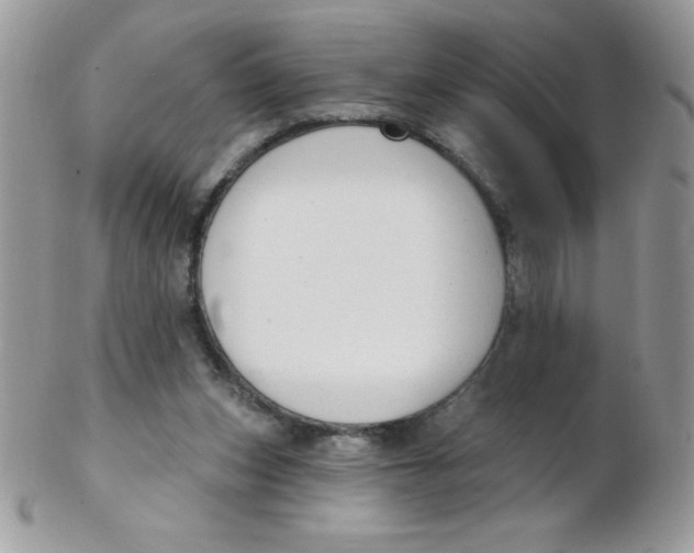 X0000102410159200808221919