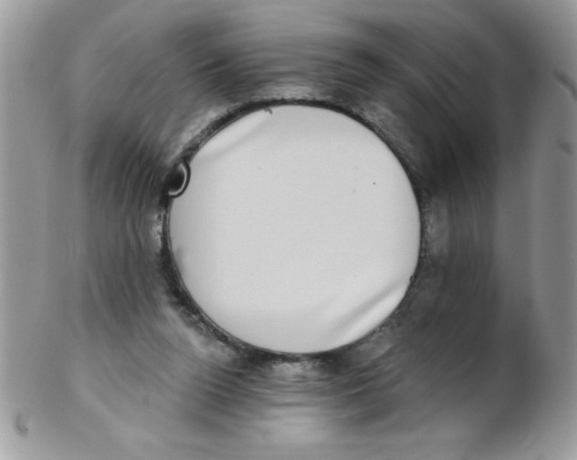 X0000102410160200808221919