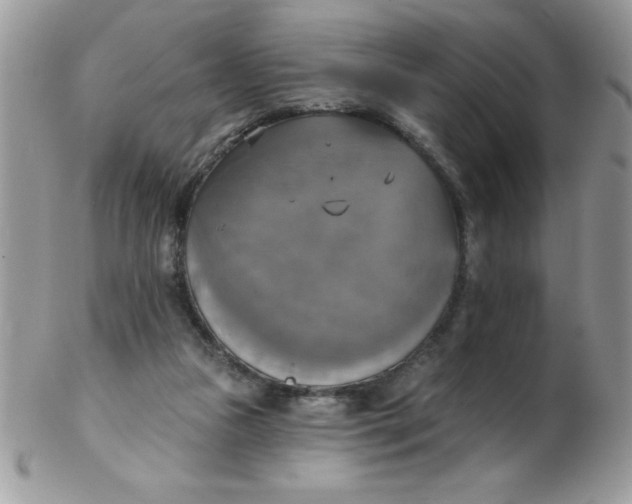 X0000102410161200808221919