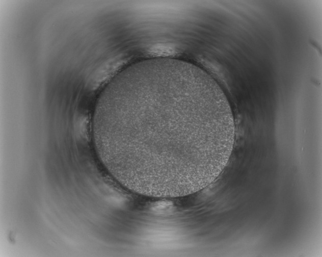 X0000102410162200808221919