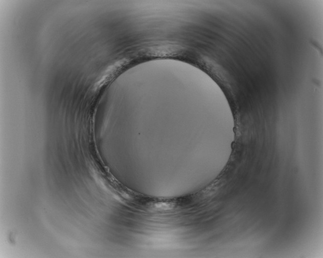 X0000102410163200808221919