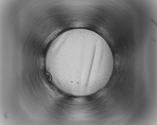 X0000102410164200808221919