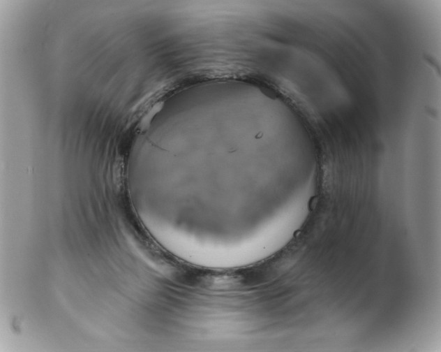 X0000102410165200808221919